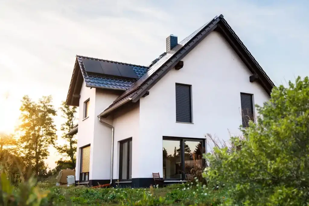 Pleroo properties